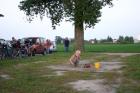 thumbs/bilder vom beachvolleyballplatz 039.jpg